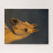 Puzzle Bob Langrish | Casque arabe gris au coucher du sol (Horizontal)