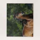 Puzzle Bob Langrish | Casque Cheval Dark Bay Quarter (Vertical)