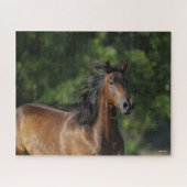 Puzzle Bob Langrish | Casque Cheval Dark Bay Quarter (Horizontal)