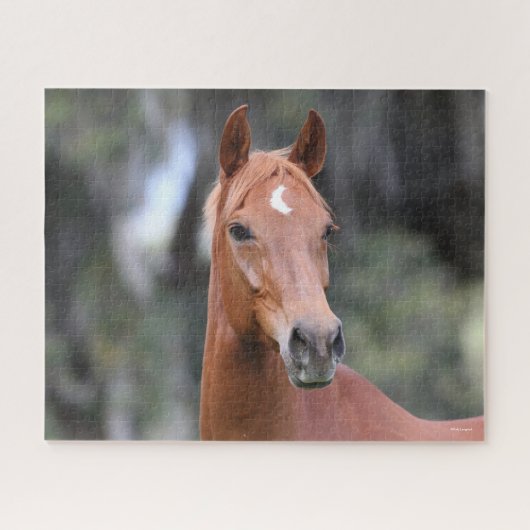 Puzzle Bob Langrish | Casque de châtaigne Oldenburg (Horizontal)