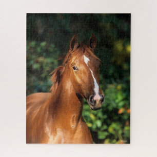 Puzzle Bob Langrish   Casque de Cheval Hanovre de châtai