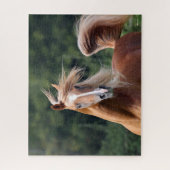 Puzzle Bob Langrish | Casque d'étoile arabe châtaigne (Vertical)