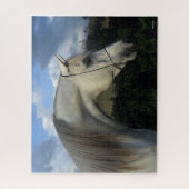 Puzzle Bob Langrish | Casque d'étoile arabe grise (Vertical)