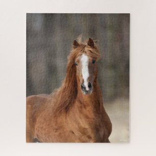 Puzzle Bob Langrish   Casque Hackney de châtaignes