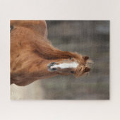 Puzzle Bob Langrish | Casque Hackney de châtaignes (Horizontal)