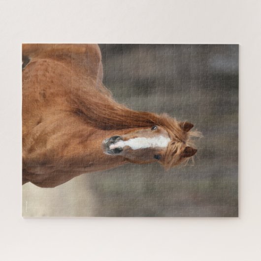 Puzzle Bob Langrish | Casque Hackney de châtaignes (Horizontal)