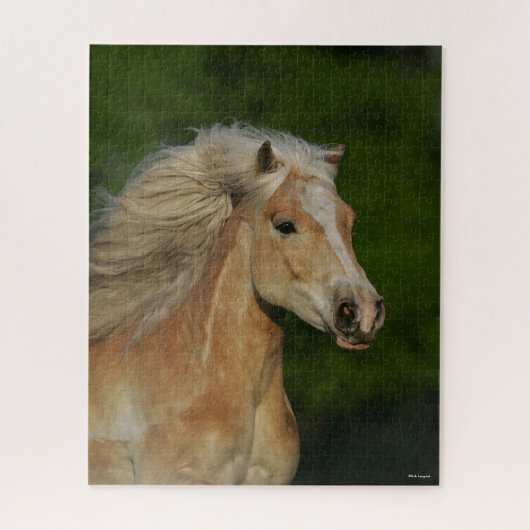 Puzzle Bob Langrish | Casque Palomino Haflinger (Vertical)