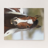 Puzzle Bob Langrish | Casque Stallion de peinture (Horizontal)