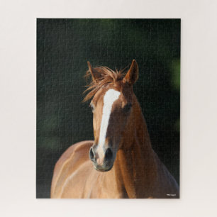 Puzzle Bob Langrish   Casquette Cheval Quartier Châtonni