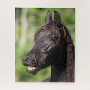 Puzzle Bob Langrish   Casquette noire Friesian Flehmen