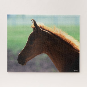 Puzzle Bob Langrish   Casquette rétroéclairée pour le 