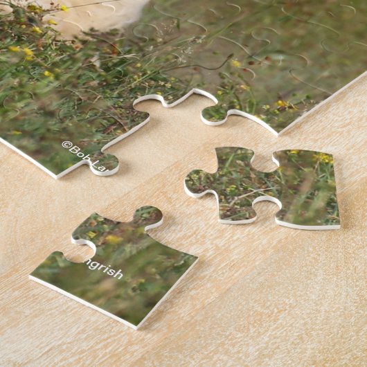 Puzzle Bob Langrish Champagne Couleur Gypsy Vanner Runnin (Côté)
