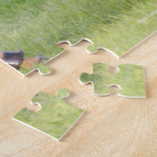 Puzzle Bob Langrish | Châtaignes Oldenburg Running (Côté)