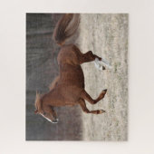 Puzzle Bob Langrish | Chestnut Hackney Pony Running (Vertical)
