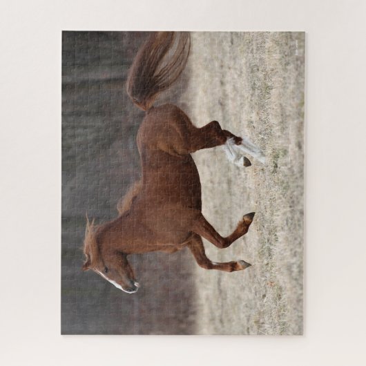 Puzzle Bob Langrish | Chestnut Hackney Pony Running (Vertical)