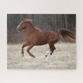 Puzzle Bob Langrish | Chestnut Hackney Pony Running (Horizontal)