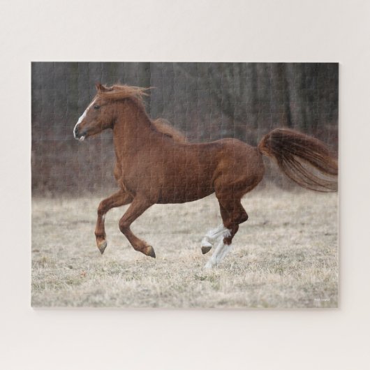 Puzzle Bob Langrish | Chestnut Hackney Pony Running (Horizontal)