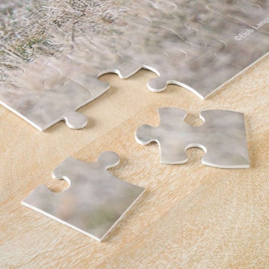 Puzzle Bob Langrish | Chestnut Hackney Pony Running (Côté)