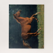 Puzzle Bob Langrish | Chestnut Warmblood Running (Vertical)