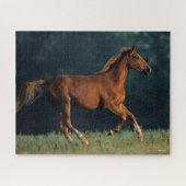 Puzzle Bob Langrish | Chestnut Warmblood Running (Horizontal)