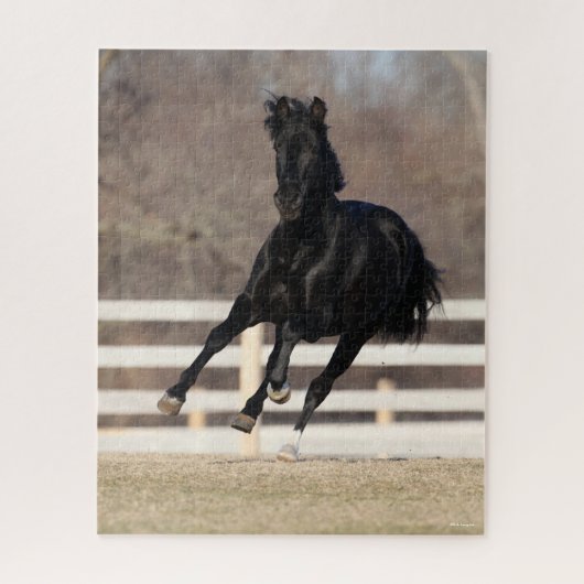 Puzzle Bob Langrish | Cheval Andalou Noir Courir (Vertical)