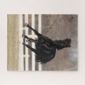 Puzzle Bob Langrish | Cheval Andalou Noir Courir (Horizontal)