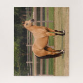 Puzzle Bob Langrish | Cheval de quart en peau de seau deb (Vertical)