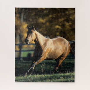 Puzzle Bob Langrish   Cheval Dun Quarter Courir
