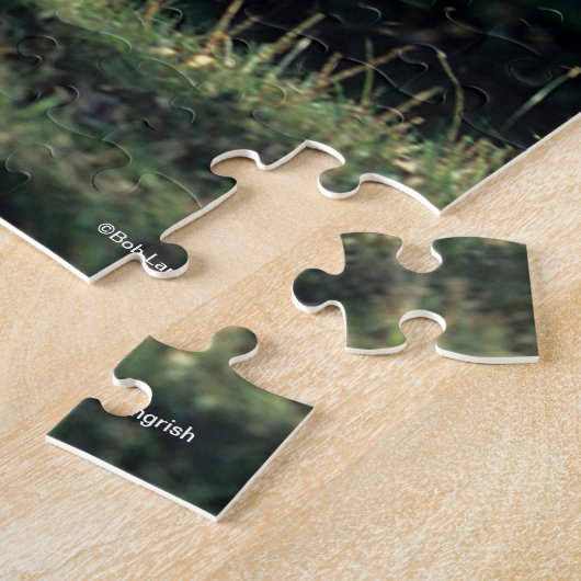 Puzzle Bob Langrish | Cheval Dun Quarter Courir (Côté)