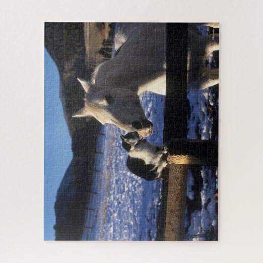 Puzzle Bob Langrish | Cheval et chat dans la neige (Vertical)
