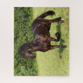 Puzzle Bob Langrish | Cheval friésien Noir Courir (Vertical)