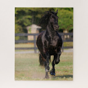 Puzzle Bob Langrish Cheval friésien Noir Courir