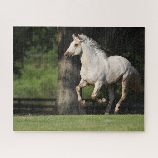 Puzzle Bob Langrish | Cheval Lusitano Courir (Horizontal)