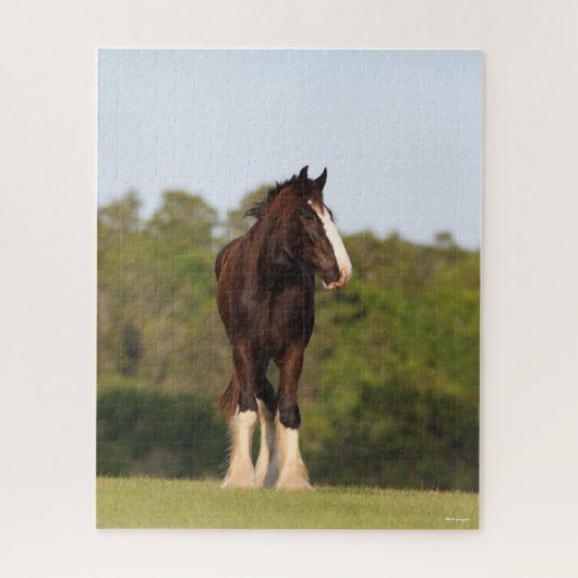 Puzzle Bob Langrish | Cheval Shire En Champ (Vertical)