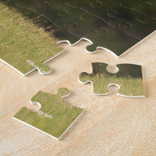 Puzzle Bob Langrish | Cheval Shire En Champ (Côté)