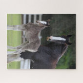 Puzzle Bob Langrish | Cheval Shire Mare et Foie debout (Horizontal)