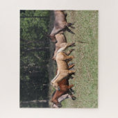 Puzzle Bob Langrish | Chevaux du quartier des troupeaux m (Vertical)