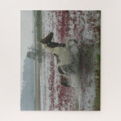 Puzzle Bob Langrish | Chincoteague Cheval Courir Dans L'E (Vertical)