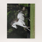 Puzzle Bob Langrish | Dapple Grey Andalucian Running (Vertical)