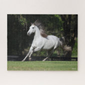 Puzzle Bob Langrish | Dapple Grey Andalucian Running (Horizontal)