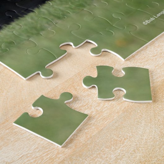 Puzzle Bob Langrish | Dapple Grey Andalucian Running (Côté)