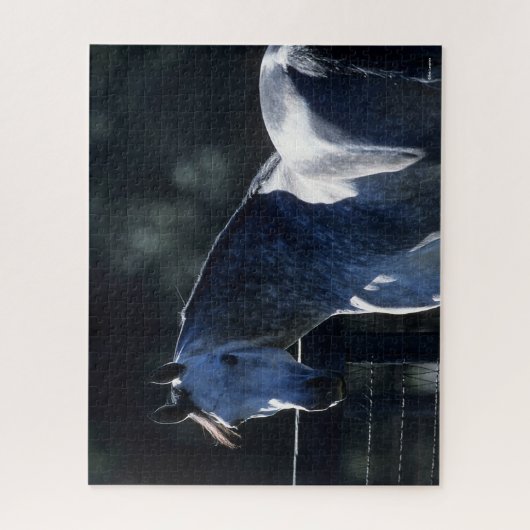 Puzzle Bob Langrish | Dapple Grey Arab Headshot Backlit (Vertical)