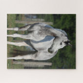 Puzzle Bob Langrish | Dapple Grey Quarter Horse Standing (Horizontal)