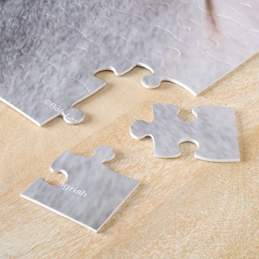 Puzzle Bob Langrish | Dapple Grey Welsh Pony Headshot (Côté)
