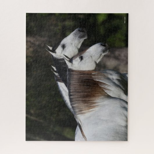 Puzzle Bob Langrish | Deux Andalous Ensemble (Vertical)