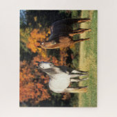 Puzzle Bob Langrish Deux Arabes se rassemblent sur le ter (Vertical)