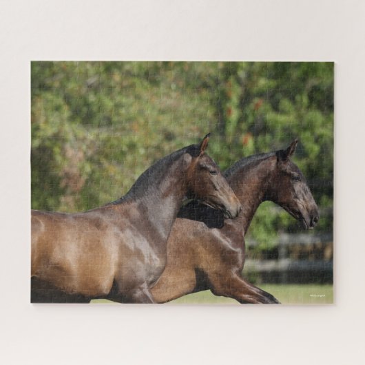 Puzzle Bob Langrish | Deux Chevaux andalous Brown en cour (Horizontal)
