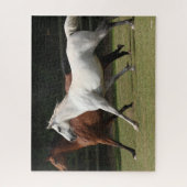 Puzzle Bob Langrish | Deux Chevaux Arabes Courir Ensemble (Vertical)