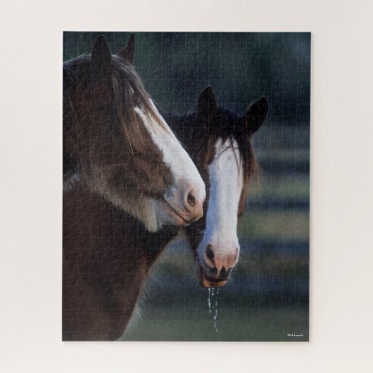 Puzzle Bob Langrish | Deux chevaux Clydesdale (Vertical)