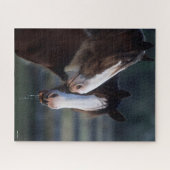 Puzzle Bob Langrish | Deux chevaux Clydesdale (Horizontal)